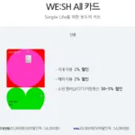 “혜택 많다더니… 정말 실속 있을까?” — KB국민 WE:SH All+ 카드, 제대로 파헤쳐봤다