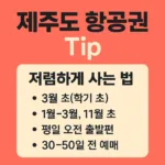 “제주도 비행기표, 똑같이 타도 가격은 천차만별인 이유”