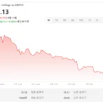 아멘텀 홀딩스(AMTM)… 국민연금도 관심 가진 국가 안보·우주 기술 기업