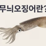 “오징어게임 끝났지? 이제 무늬오징어 시작이야”