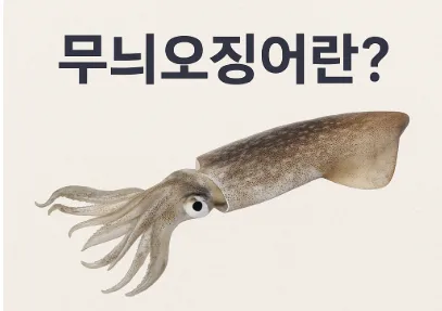 “오징어게임 끝났지? 이제 무늬오징어 시작이야”