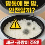 “밥통에 오래 둔 밥, 먹으면 큰일 난다? 보온 밥 방치가 세균·곰팡이 온상 되는 이유”