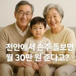 “10월부터 조부모도 돈 받는다 — 천안, 손주 돌보면 월 30만 원 지급 시작”
