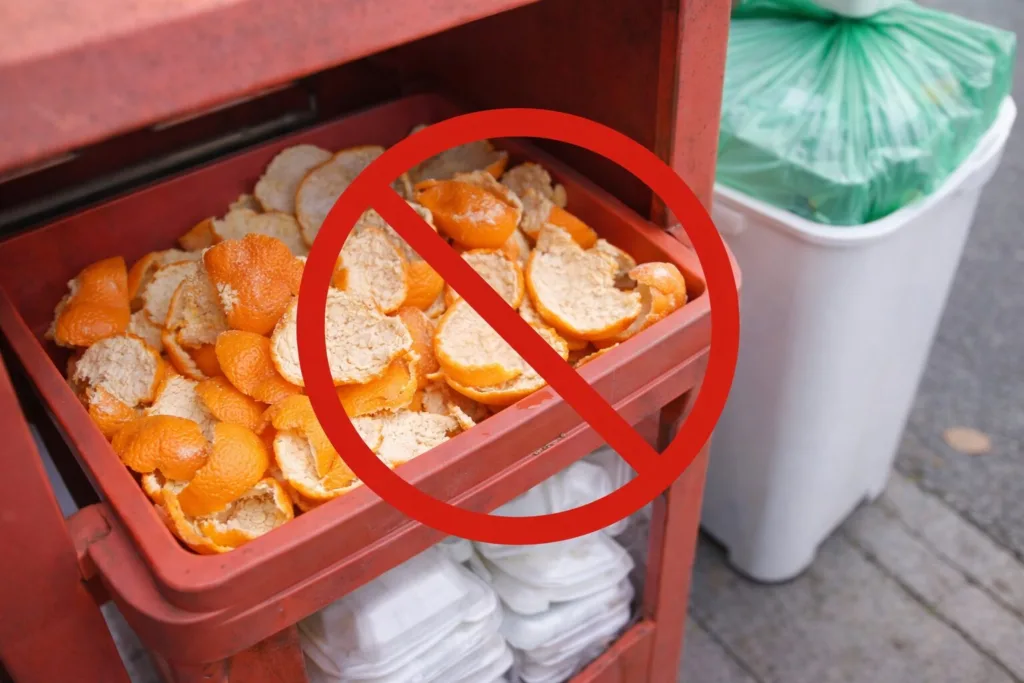 “귤 껍질 그냥 버리면 최대 100만원 과태료?” 과일껍질 버리는 법 완전 정리!