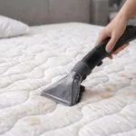 “겉은 멀쩡한데 안은 세균밭?” 매일 자는 침대 매트리스, 제대로 케어 안 하면 생기는 일