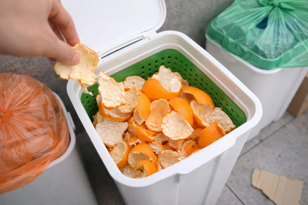 “귤 껍질 그냥 버리면 최대 100만원 과태료?” 과일껍질 버리는 법 완전 정리!