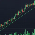 IVV·VOO·SPY, S&P500 ETF의 핵심 차이 완전 분석…보수부터 구조·수익률까지 투자자가 꼭 알아야 할 점