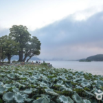 왕복 120km를 달려야 한다… 두물머리는 이 조건이면 드라이브가 된다