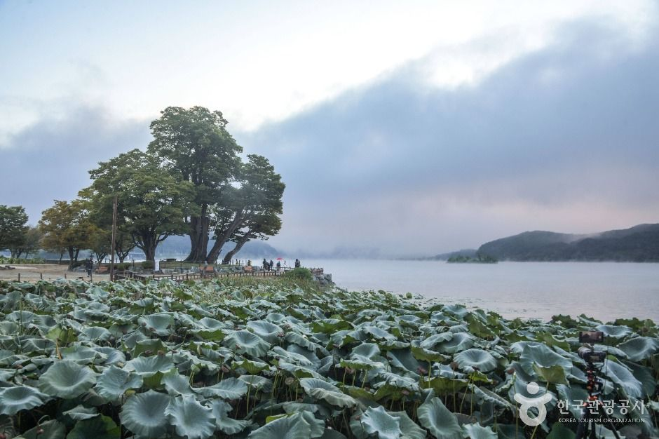 왕복 120km를 달려야 한다… 두물머리는 이 조건이면 드라이브가 된다